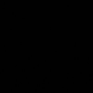 Meet your Posher, Sylvia